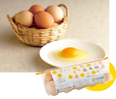 美黄卵パック卵 10個入