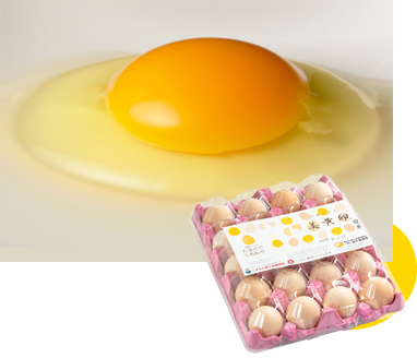 美黄卵パック卵 20個入