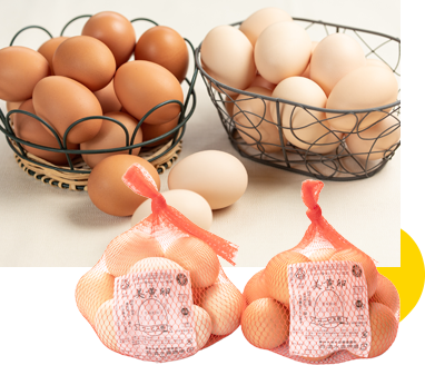 美黄卵ネット卵